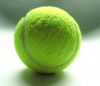 tennis-raquet-and-ball-1-841701-s